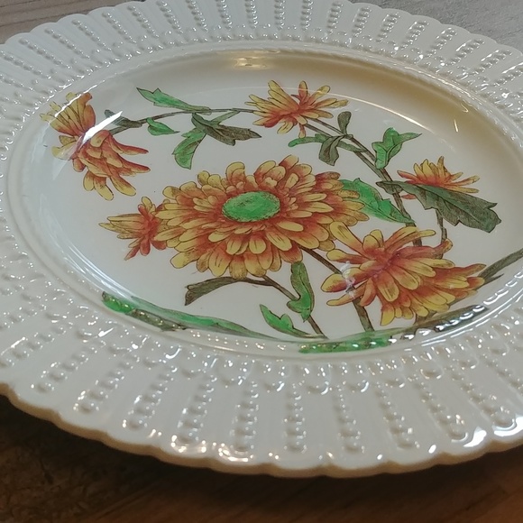 Royal Cauldon England Vintage 1950's Flower Series Plate #2473 - Picture 2 of 4